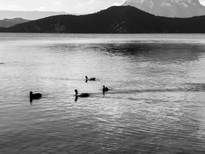 SlotoCash Kazino Mobilioji programa